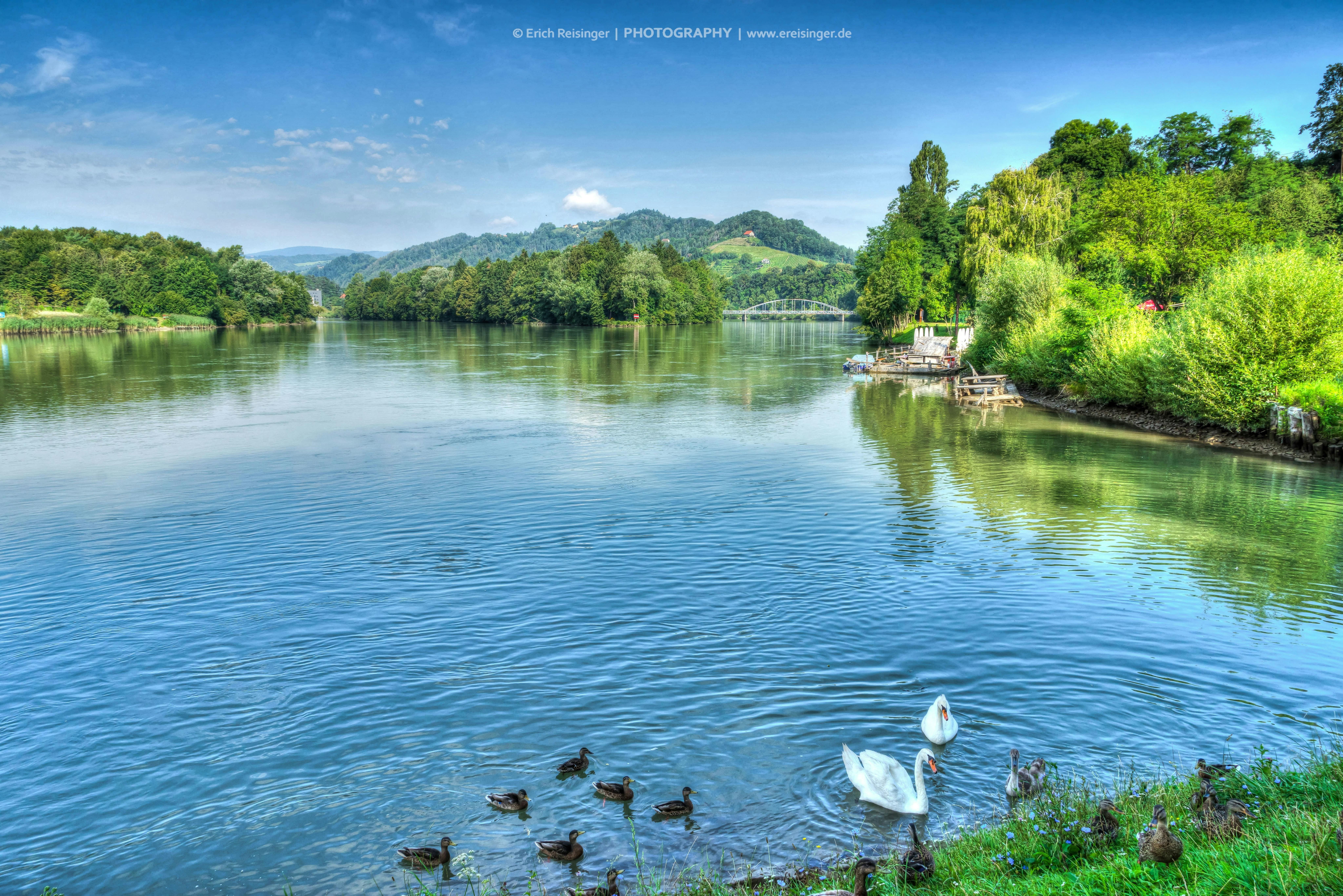 Maribor_Reka_Drava_Pomlad_Erich_Reisinger